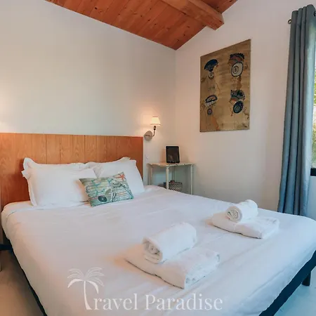 Hollyhocks Rivedoux-Plage